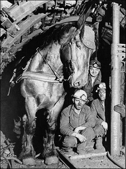 Archives BIDARD - Crin-Blanc (ou Crin-Gris, c'est comme on veut!) avec Jean-Michel, Didier et un autre qui a mauvaise mine ...